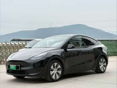 Tesla Model Y 2022 Rear-Wheel Drive - ფოტო 1