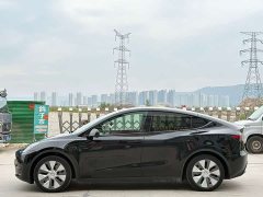 Tesla Model Y 2022 Rear-Wheel Drive - ფოტო 6