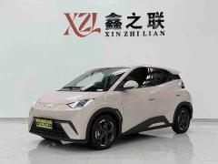 BYD Seagull Glory Edition 305km Freedom Version - ფოტო 1