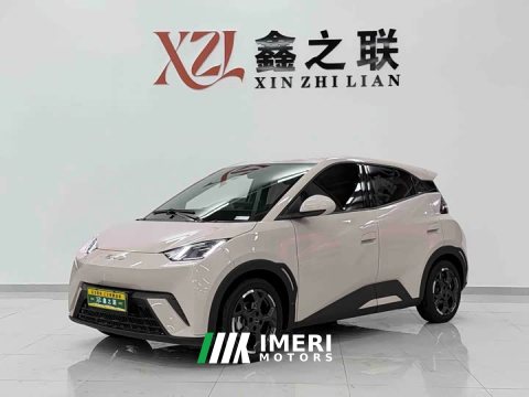 2024 BYD Seagull Glory Edition 305km Freedom Version - ავტომობილი ჩინეთიდან