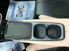 BYD Seagull Glory Edition 305km Freedom Version - ფოტო 11