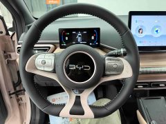 BYD Seagull Glory Edition 305km Freedom Version - ფოტო 15