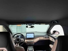 BYD Seagull Glory Edition 305km Freedom Version - ფოტო 18