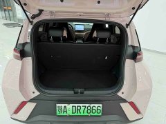 BYD Seagull Glory Edition 305km Freedom Version - ფოტო 19