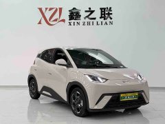 BYD Seagull Glory Edition 305km Freedom Version - ფოტო 2