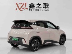 BYD Seagull Glory Edition 305km Freedom Version - ფოტო 4