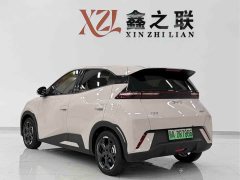 BYD Seagull Glory Edition 305km Freedom Version - ფოტო 5