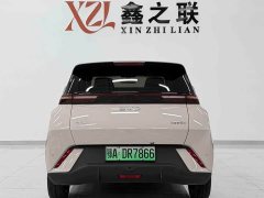 BYD Seagull Glory Edition 305km Freedom Version - ფოტო 6