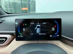 BYD Seagull Glory Edition 305km Freedom Version - ფოტო 8