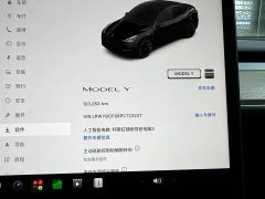 Tesla Model Y Rear-Wheel Drive - ფოტო 16