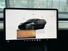 Tesla Model Y Rear-Wheel Drive - ფოტო 9