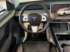 Tesla Model Y 2022 Performance All-Wheel Drive - ფოტო 7