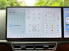 Li Auto L8 Pro - ფოტო 18