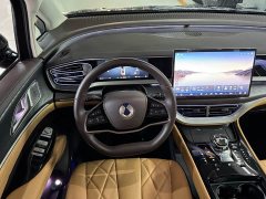 Denza BYD Denza D9 DM-i 970 Luxury - ფოტო 10