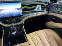 Denza BYD Denza D9 DM-i 970 Luxury - ფოტო 12