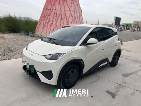 2024 BYD Seagull Glory Edition 305km Vitality Version - ავტომობილი ჩინეთიდან