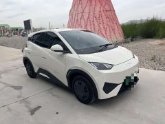 BYD Seagull Glory Edition 305km Vitality Version - ფოტო 3