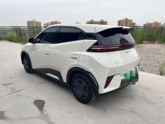 BYD Seagull Glory Edition 305km Vitality Version - ფოტო 4