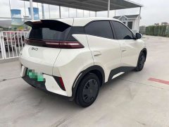 BYD Seagull Glory Edition 305km Vitality Version - ფოტო 5
