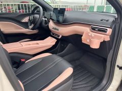 BYD Seagull Glory Edition 305km Vitality Version - ფოტო 8