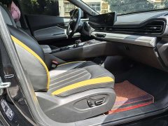 Trumpchi Leopard 270T DCT J16 - ფოტო 11