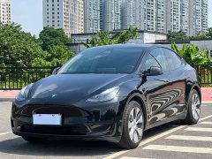 Tesla Model Y Rear-Wheel Drive - ფოტო 1