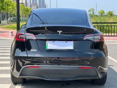 Tesla Model Y Rear-Wheel Drive - ფოტო 10