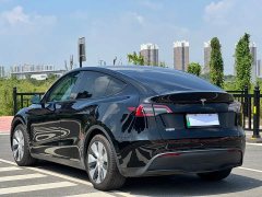 Tesla Model Y Rear-Wheel Drive - ფოტო 11