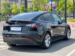 Tesla Model Y Rear-Wheel Drive - ფოტო 12