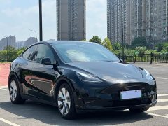 Tesla Model Y Rear-Wheel Drive - ფოტო 3
