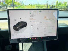 Tesla Model Y Rear-Wheel Drive - ფოტო 4