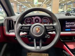 Porsche 2024 Cayenne 3.0T - ფოტო 15