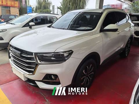 2022 Haval H6 National Trend Edition 1.5T Automatic Urban Version - ავტომობილი ჩინეთიდან