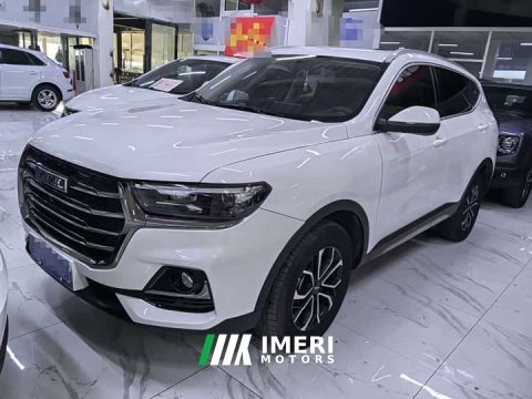 2021 Haval H6 National Trend Edition 1.5T Automatic Urban Version - ავტომობილი ჩინეთიდან