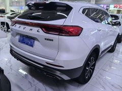 Haval H6 National Trend Edition 1.5T Automatic Urban Version - ფოტო 6