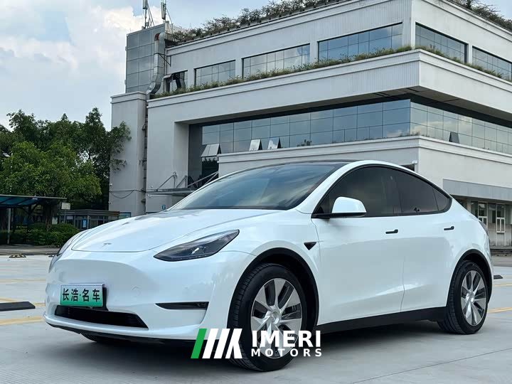 Tesla Model Y Standard Range RWD - ავტომობილი ჩინეთიდან