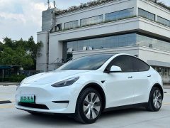Tesla Model Y Standard Range RWD - ფოტო 1
