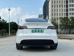 Tesla Model Y Standard Range RWD - ფოტო 10