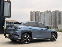 BYD Haima Lion Haima S7 EV 610 Smart Drive Edition - фото 4