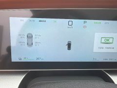 BYD Haima Lion Haima S7 EV 610 Smart Drive Edition - фото 9