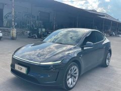 Tesla Model Y Long Range Rear-Wheel Drive - ფოტო 1