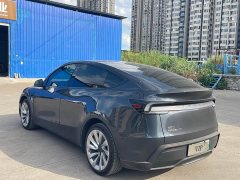 Tesla Model Y Long Range Rear-Wheel Drive - ფოტო 6