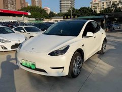 Tesla Model Y Rear-Wheel Drive - ფოტო 1