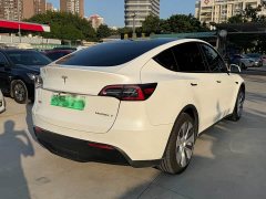 Tesla Model Y Rear-Wheel Drive - ფოტო 6