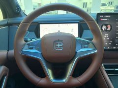 BYD Song L EV 600KM AWD Lidar Flagship - ფოტო 5