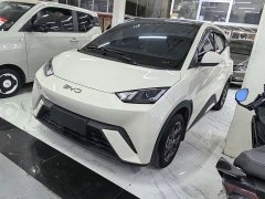BYD Seagull Glory Edition 305km Vitality Version - ფოტო 1