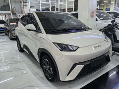 BYD Seagull Glory Edition 305km Vitality Version - ფოტო 3