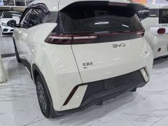BYD Seagull Glory Edition 305km Vitality Version - ფოტო 4