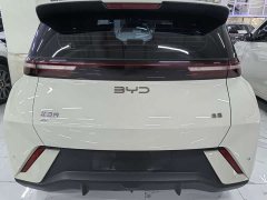 BYD Seagull Glory Edition 305km Vitality Version - ფოტო 5