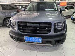 Great Wall Dachshund 1.5T DCT Two-Wheel Drive Husky Edition - ფოტო 2